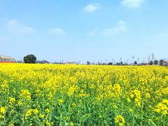 -中国天府农业博览园