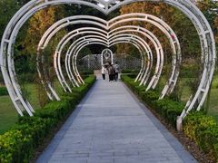 -昆山城市生态森林公园