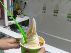 -Salud撒露欧洲冻酸奶(北苑上品店)