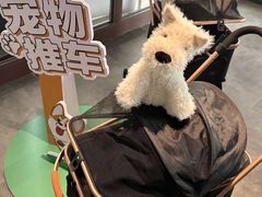 -枫叶小镇奥特莱斯