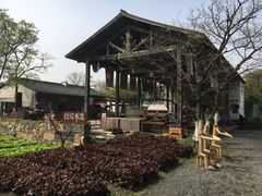 -田园东方蜜桃村的田野营地