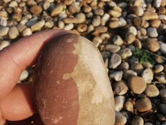 -盘龙城国家考古遗址公园