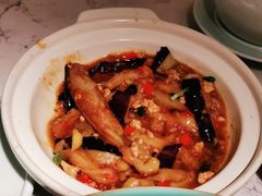 -大榕树下顺德菜(融创茂店)