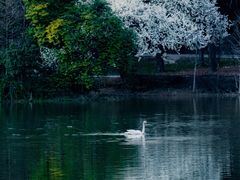 -艾溪湖湿地公园