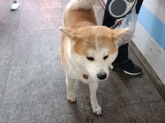 -浦商菜市场·锦德店