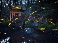 -灵谷景区