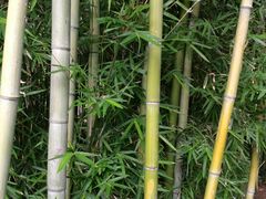 -苏州河梦清园环保主题公园