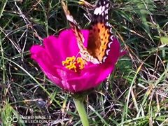 -桤木河湿地公园