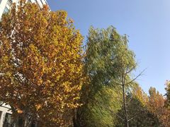 -北京化工大学(东校区)