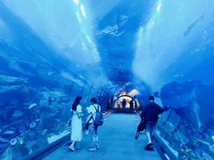 -迪拜水族馆及水下动物园