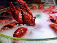 经典冰镇龙虾-红盔甲·小龙虾(天钥桥店)