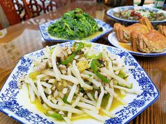 -呼吸森林·生态农庄农家乐私房菜