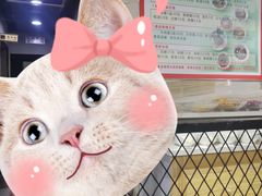 大堂-邵汇大虾(泉园一路店)