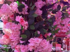 -郭记烤肉创始店(民丰大街店)