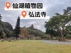 -深圳仙湖植物园