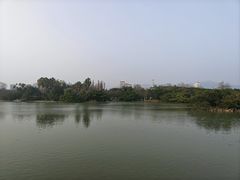 -江心屿景区