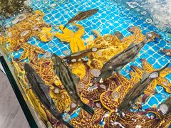 -渔港甄宴·海鲜·地标烟台菜(金沙滩店)