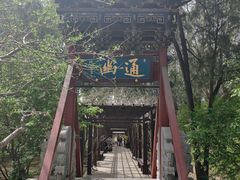 -晋祠公园