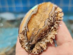 -双海酒店·海鲜家常菜(南戴河店)