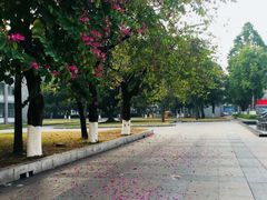 -劲派KTV(江南大道南店)