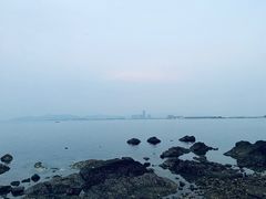-养马岛旅游度假区