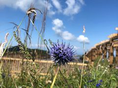 -白草畔自然风景区