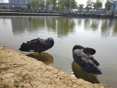 -南京医科大学(江宁校区)