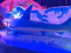 -梦幻奥陶纪景区