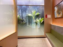 -佬肥猫(七宝宝龙店)