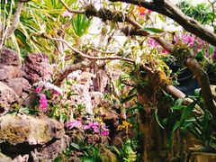 -南通洲际绿博园