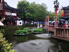 -老桐椿 · 上海大馄饨