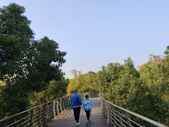 -江滩湿地公园