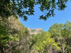 -云岫谷游猎自然风景区