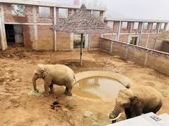 -西霞口神雕山野生动物世界