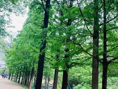 -白水寺森林公园