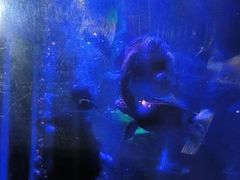 -嘉兴海底世界