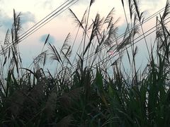-小南山公园