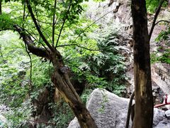-北京上方山国家森林公园