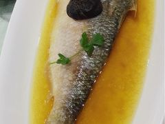 清蒸鲥鱼-圆苑(上海广场店)
