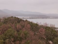 -雷峰塔景区