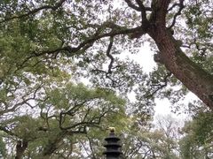 -普陀山风景名胜区-法雨禅寺