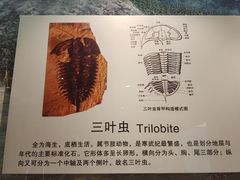 -辽宁古生物博物馆