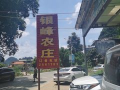 -银峰农庄·特色烧鸡·鲜无花果浸鸡