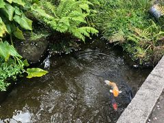 -ステーキハウス吉池