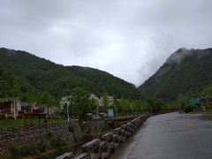 -牛背梁国家森林公园