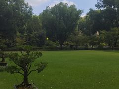 -申粤轩·手工点心·金牌烧味·经典粤菜(丁香花园店)