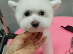 -宠福鑫康馨动物医院·骨科·眼科