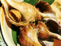 -小船渔村•大连菜•大连焖鱼(明泽街店)