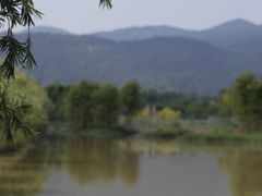 -天适樱花悠乐园