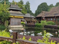-云南民族村